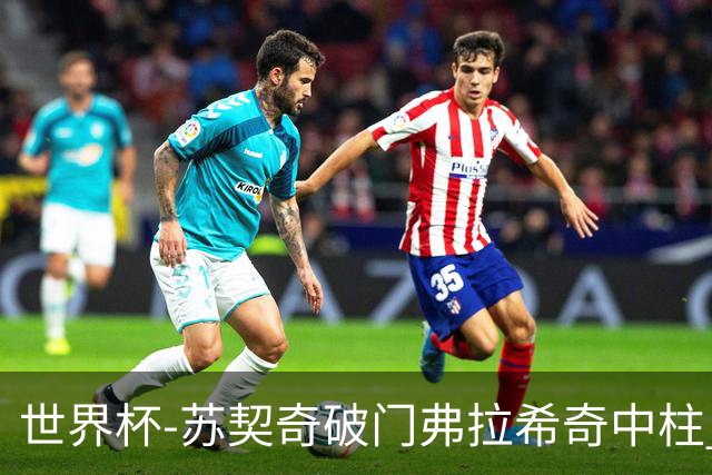 世界杯-苏契奇破门弗拉希奇中柱 克罗地亚半场1-0加纳