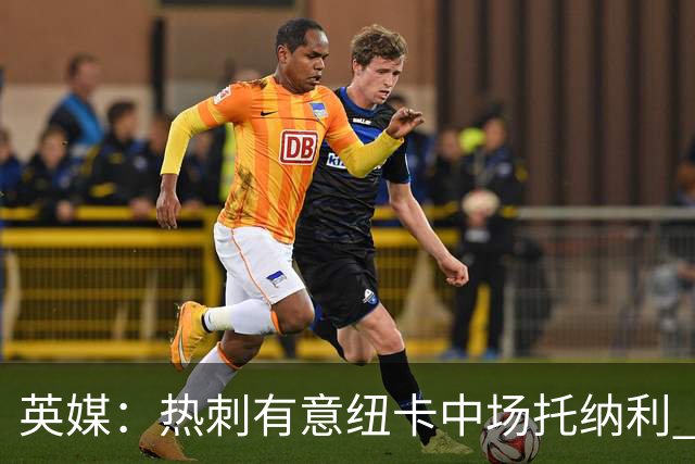 英媒：热刺有意纽卡中场托纳利 除巨额转会费外不会出售